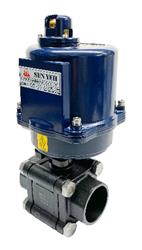 Carbon Steel Electric Ball Valve BSP | With Sun Yeh Electric Actuator