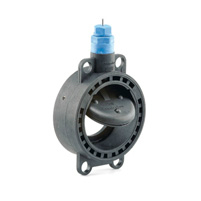 PVC System Check Valve with Spring Autolock & Indicator