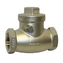 Swing Check Valve Stainless Steel BSPP