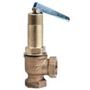 Brass Spring Safety Relief Valve BSPP with Lever