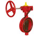 Fire Protection Valves