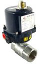 Brass Ball Valve with Sun Yeh Electric Actuator